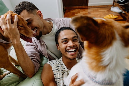 Couple laughing and playing with rescue dogs at home
