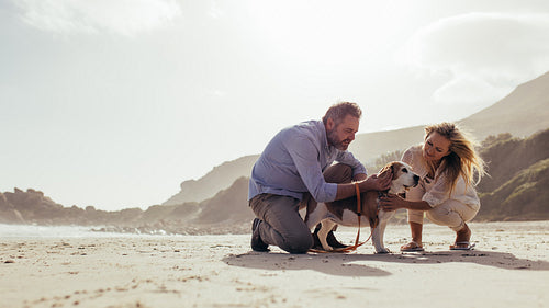 Mature couple with pet dog on the beach