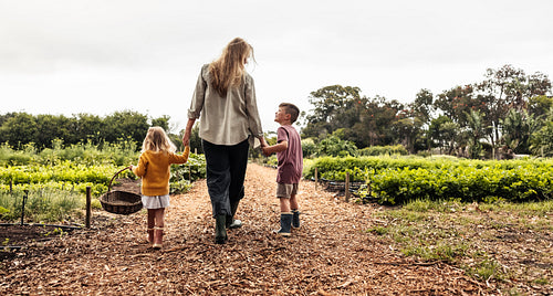 Happy young family going harvesting on an organic farm