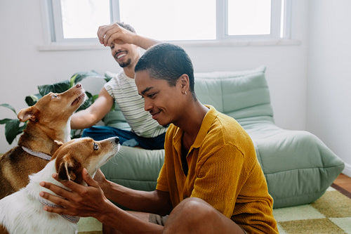 Couple bonding with their dogs in a cozy home environment