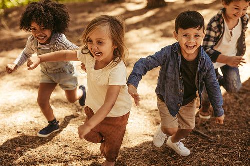 Children playing together in forest