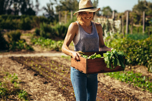Farmer with freshly harvested vegetables in garden