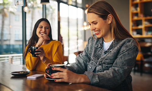 Cheerful female friends meeting in a cafe