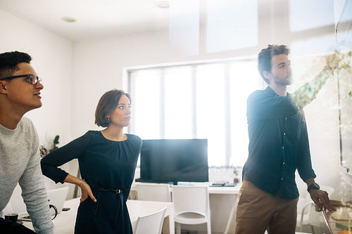 Application developer making a presentation in office