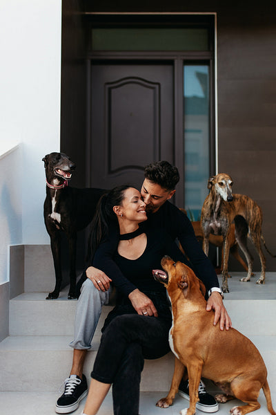 Romantic young couple sitting on the porch with their dogs