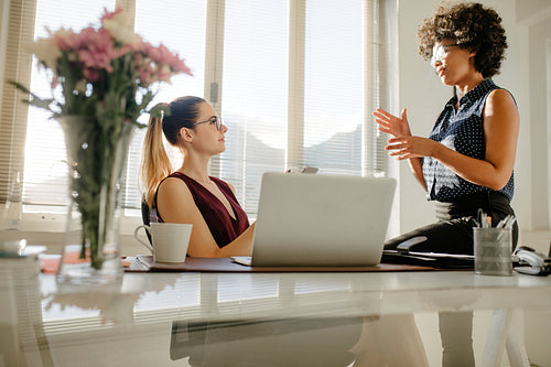 Business partners discussing new project