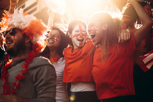 England soccer supporters cheering in stands