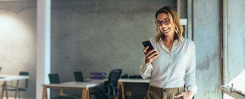 Business woman portrait in office