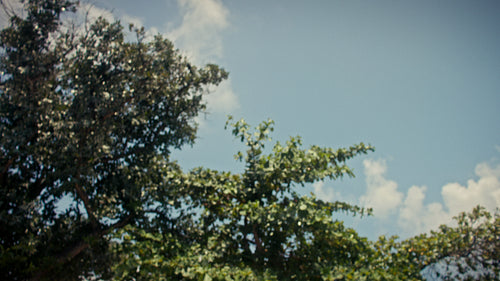 Family enjoys competitive pool games and laughter during their happy tropical villa vacation