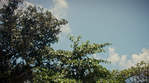 Family enjoys competitive pool games and laughter during their happy tropical villa vacation