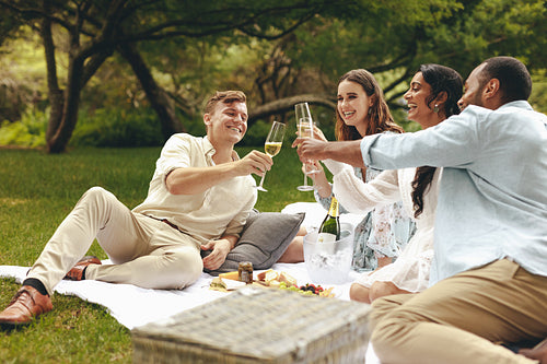 Friends celebrating with drinks at picnic