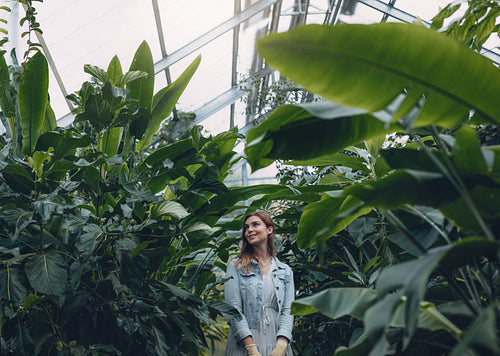 Beautiful woman working in greenhouse