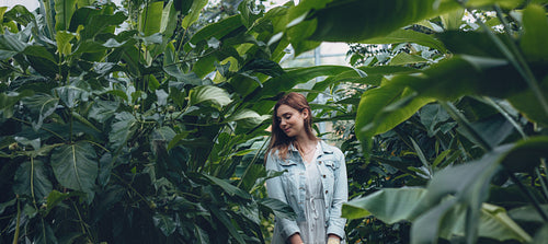 Woman standing in a greenhouse