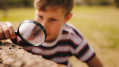 Boy exploring garden with his magnifier