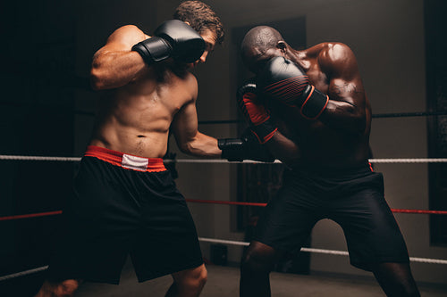 Man punching the stomach of his opponent in a boxing match