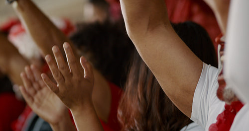 English football supporters celebrating a win