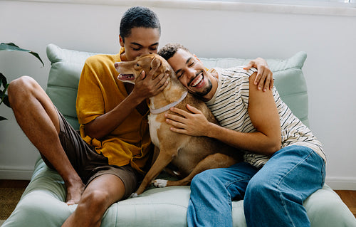 Happy gay couple with their dog relaxing on a cozy green sofa together