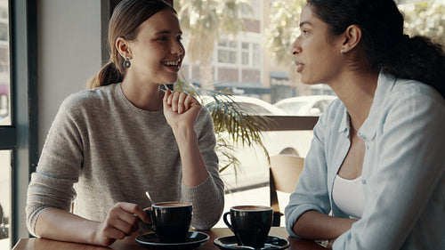 Happy young female friends meeting in a cafe