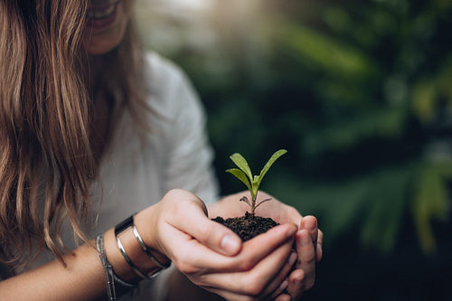 Sprout in woman hands
