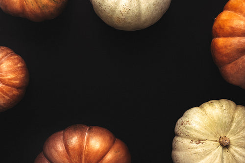 Halloween frame of orange and white pumpkins