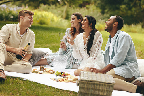 Group of friends having party at park