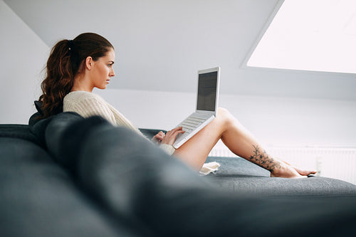 Pretty young brunette using laptop at home