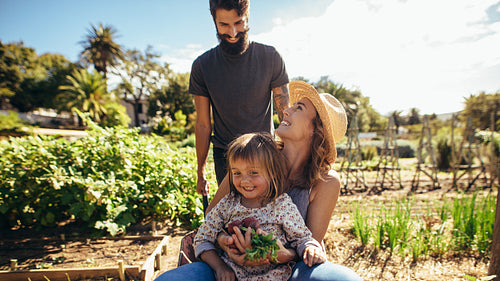 Cheerful family playing with the wheelbarrow at farm