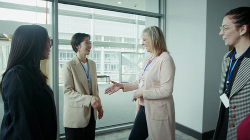 Smiling women shaking hands professionally