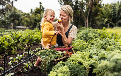 Cheerful mother and daughter gathering fresh vegetables