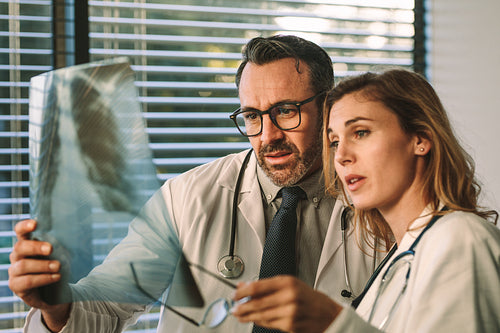 Doctors colleagues looking at xray film together
