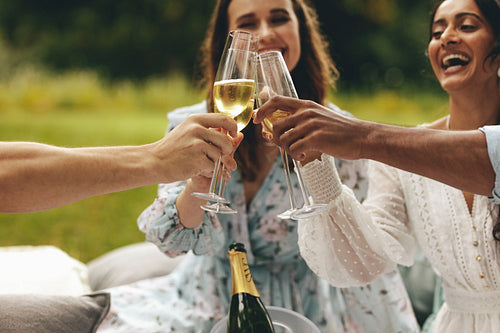 Friends celebrating with champagne at picnic