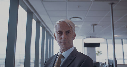 Successful mature businessman in office