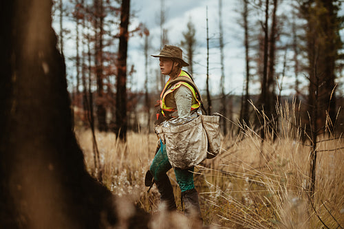 Tree planter working on forest