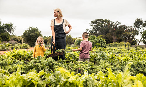 Young mother standing in a vegetable garden with her children