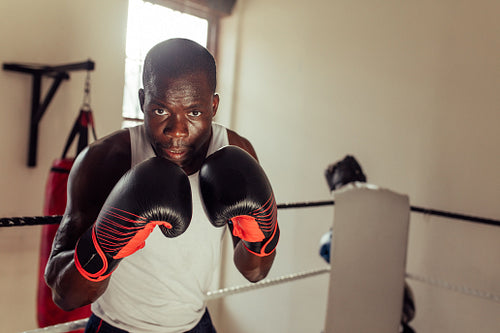 Focused African boxer looking at camera in fighting stance