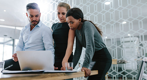 Business team working together on their project