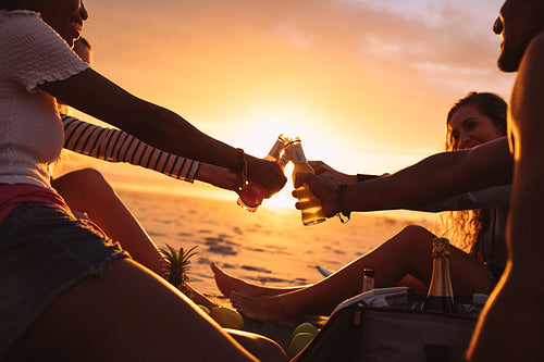 Friends toasting beer sitting at the beach