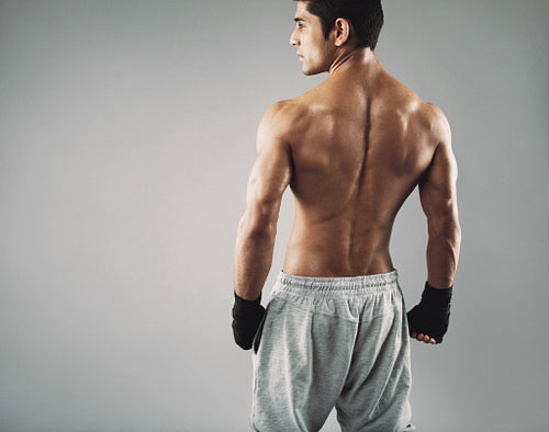 Muscular young male boxer standing on grey background