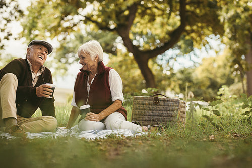 Senior couple on picnic enjoying time together