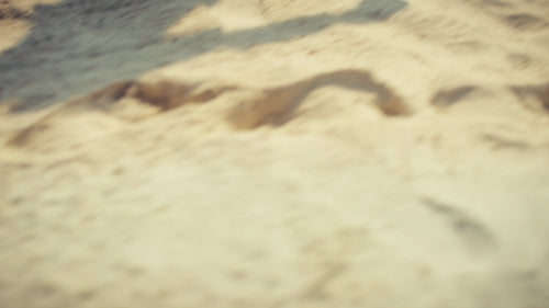 Happy family on a stunning beach engaging in ocean conservation with a coral structure