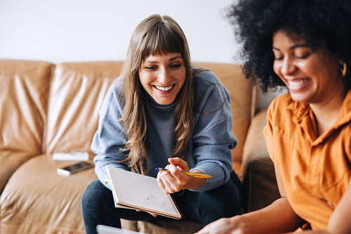 Cheerful young businesswomen having an online meeting in an office