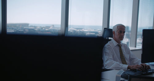 Mature businessman working at his desk