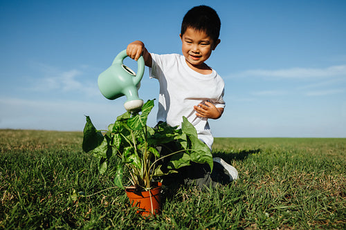 Boy watering plant outdoors shows growth care joy