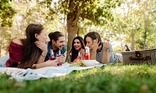 Friends enjoying a picnic at park