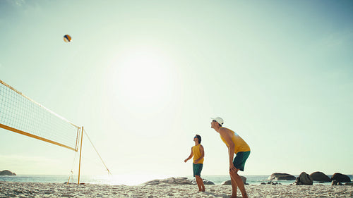 Wide angle view of winning volleyball team score and celebrate their successful match point