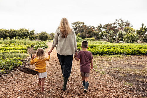 Single mother going harvesting with her two kids