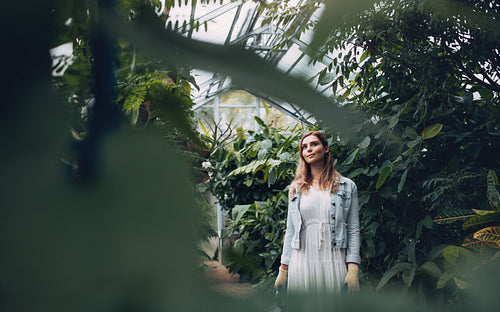 Female working at plant nursery