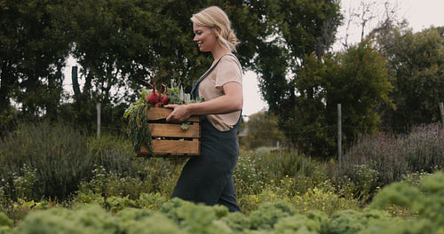 Female organic farmer carrying fresh vegetables