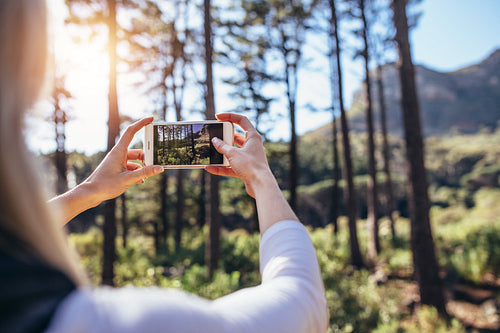 Woman taking photograph in forest
