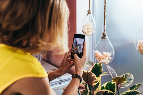 Florist taking photographs of hanging flower